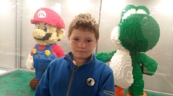 Wystawa klocków Lego -8