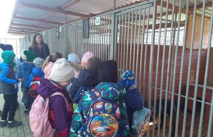 2b-schronisko-kundelek-2024_03