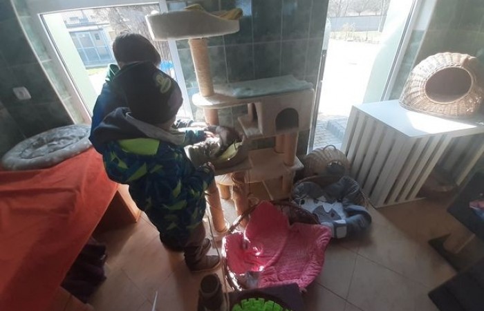 2b-schronisko-kundelek-2024_05