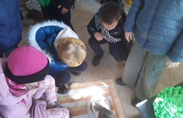 2b-schronisko-kundelek-2024_06