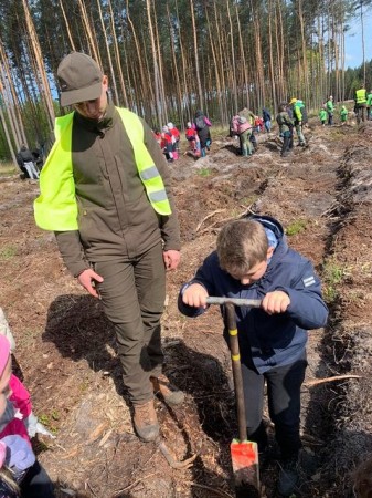 2b-sadzi-las-2024_03