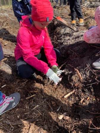 2b-sadzi-las-2024_04