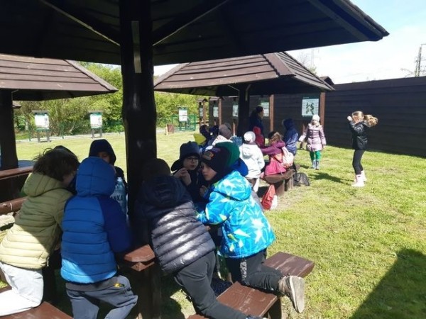 2b-sadzi-las-2024_05