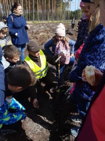 2b-sadzi-las-2024_06