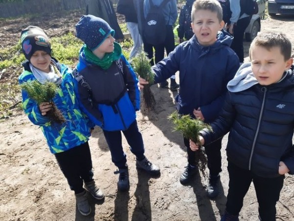 2b-sadzi-las-2024_08