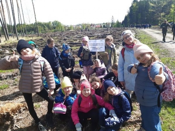 2b-sadzi-las-2024_10