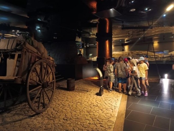 wycieczka-doKrarowa_2024_05