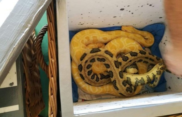 zywa_lekcja_biologii_008