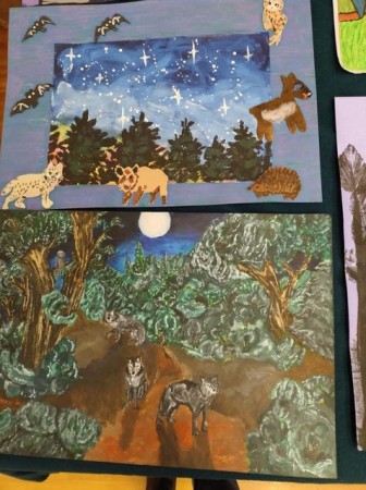 wyroznienie-kon-Moj-las-2024_08