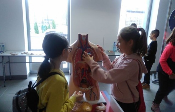 wtstawa_interaktywna_2019_03