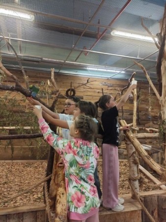 1b_papugarnia-2025_03