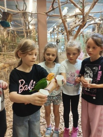 1b_papugarnia-2025_04