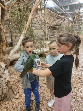 1b_papugarnia-2025_05