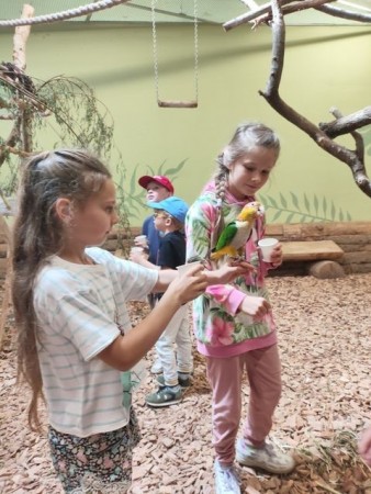 1b_papugarnia-2025_06