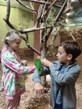 1b_papugarnia-2025_07