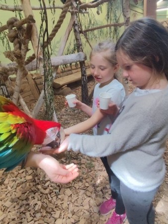 1b_papugarnia-2025_08