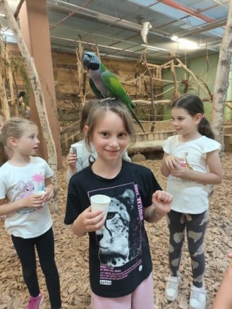 1b_papugarnia-2025_09