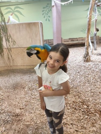 1b_papugarnia-2025_11