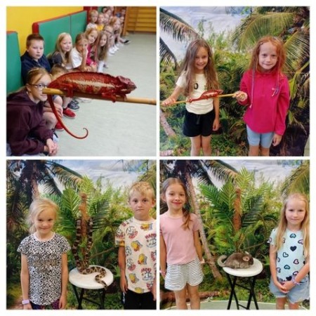 warsztaty-zoologiczne-kl-1-2025_04