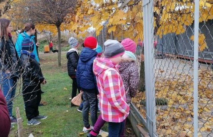 akademia_przyszlosci_kundelek_2019_02