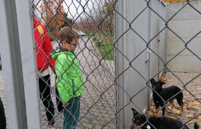 akademia_przyszlosci_kundelek_2019_03