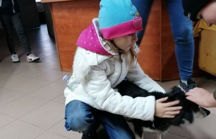 akademia_przyszlosci_kundelek_2019_04