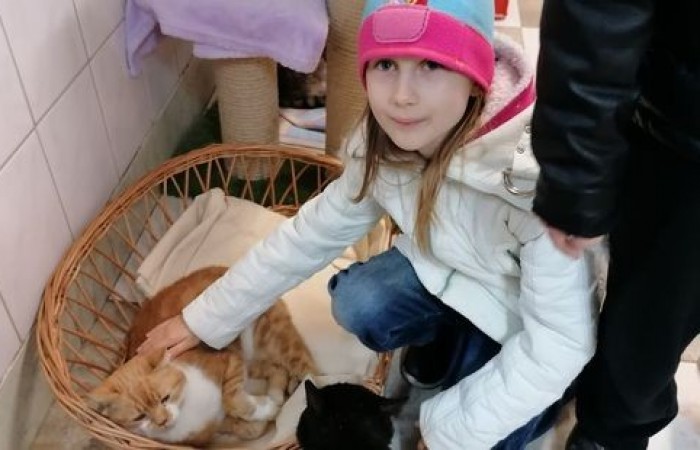 akademia_przyszlosci_kundelek_2019_05