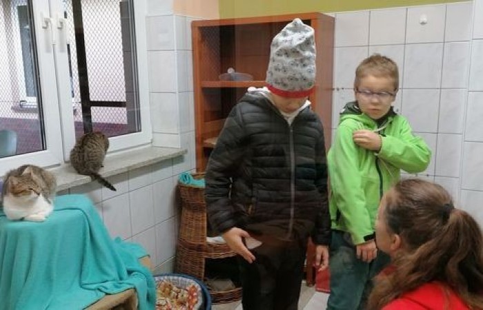 akademia_przyszlosci_kundelek_2019_06