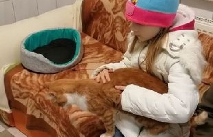 akademia_przyszlosci_kundelek_2019_08