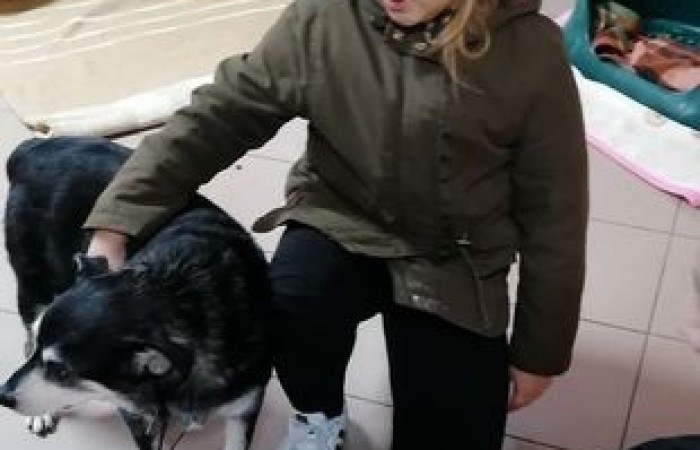 akademia_przyszlosci_kundelek_2019_11