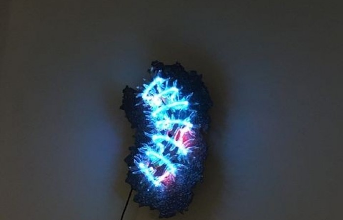 erasmus_2_dzien_2020_19