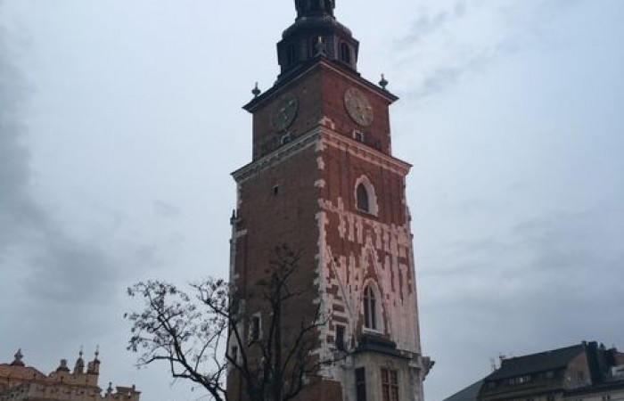 erasmus_3_dzien_2020_07