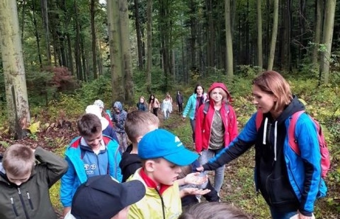 pogorze_strzyzowskie_01