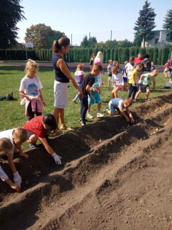 kwiaty_dla_hospicjum_13