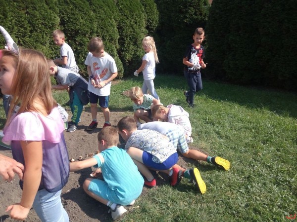 kwiaty_dla_hospicjum_14