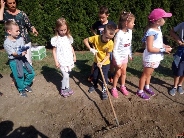 kwiaty_dla_hospicjum_15