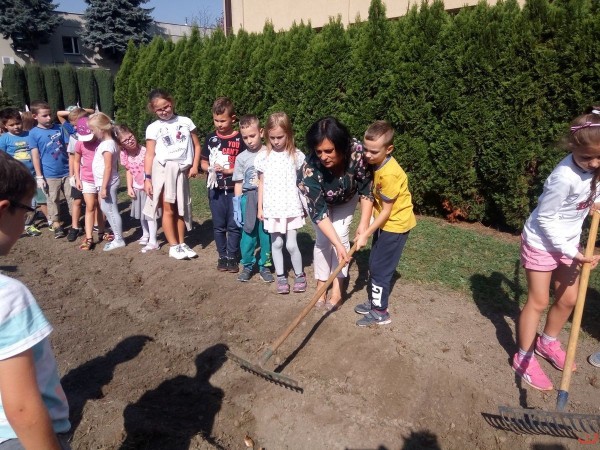 kwiaty_dla_hospicjum_16