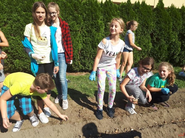 kwiaty_dla_hospicjum_17