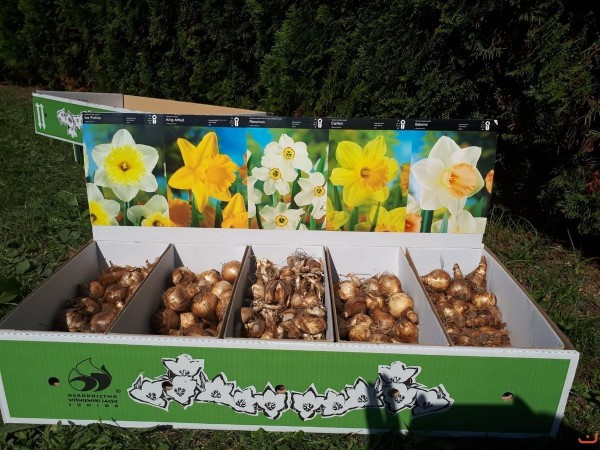 kwiaty_dla_hospicjum_18