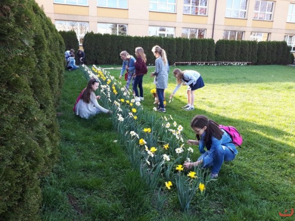 kwiaty_dla_hospicjum_2