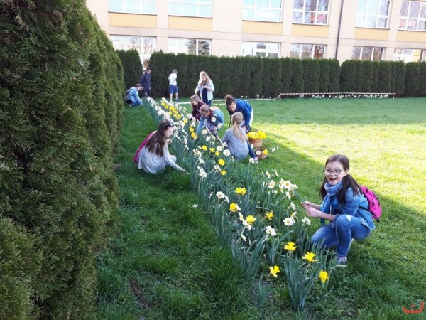 kwiaty_dla_hospicjum_3