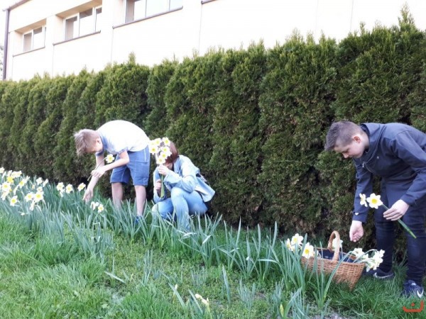 kwiaty_dla_hospicjum_4