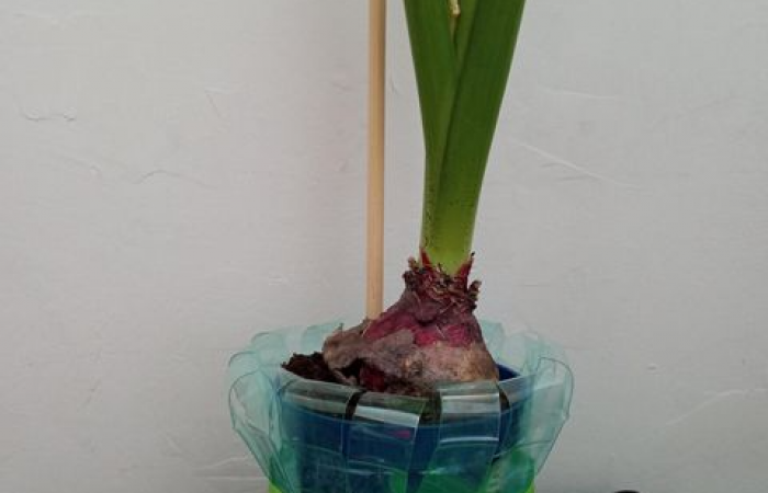 dla_ziemi_3b_04_wynik