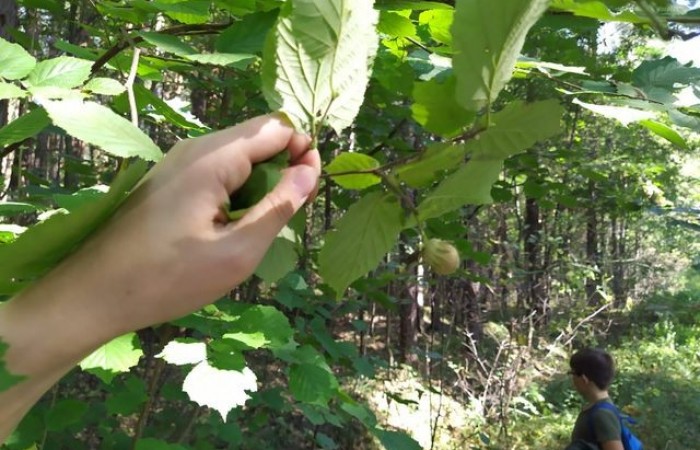 62f67871-bf39-4b2e-963b-36fe8bb35d30