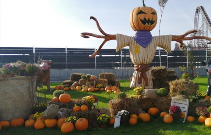 energylandia_8b_8d_12_wynik