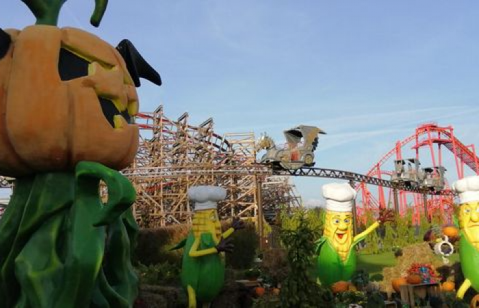 energylandia_8b_8d_14_wynik