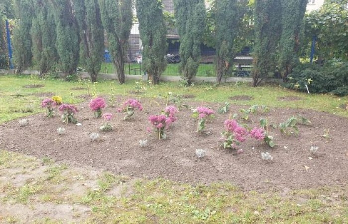 projekt_zielone_miejsce_02