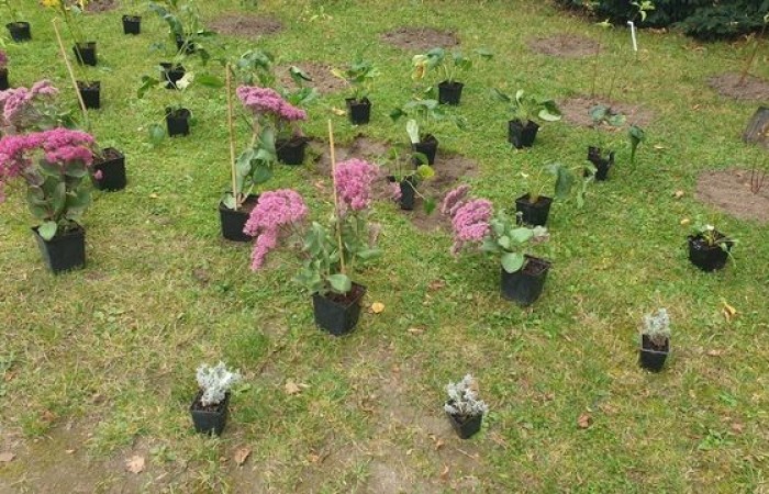 projekt_zielone_miejsce_03