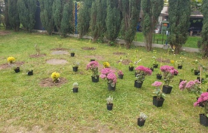 projekt_zielone_miejsce_04