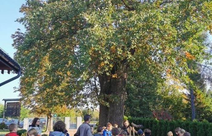 wycieczka_klasy_4_02